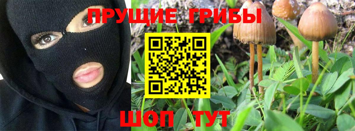 Псилоцибиновые грибы мицелий  Вход с VPN  Троицк 